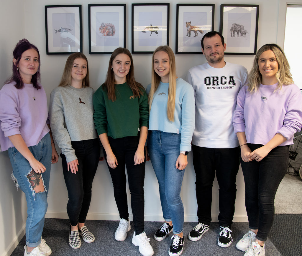 meet the team Big Wild Thought