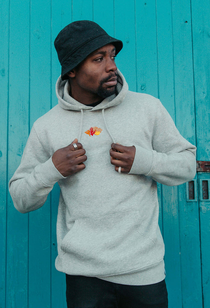 coral reef hoodie Big Wild Thought