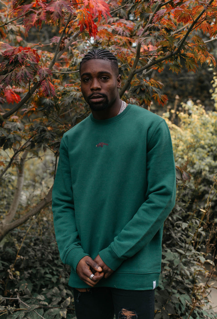 Pangolin Unisex Embroidered Organic Sustainable Sweatshirt Jumper Big Wild Thought