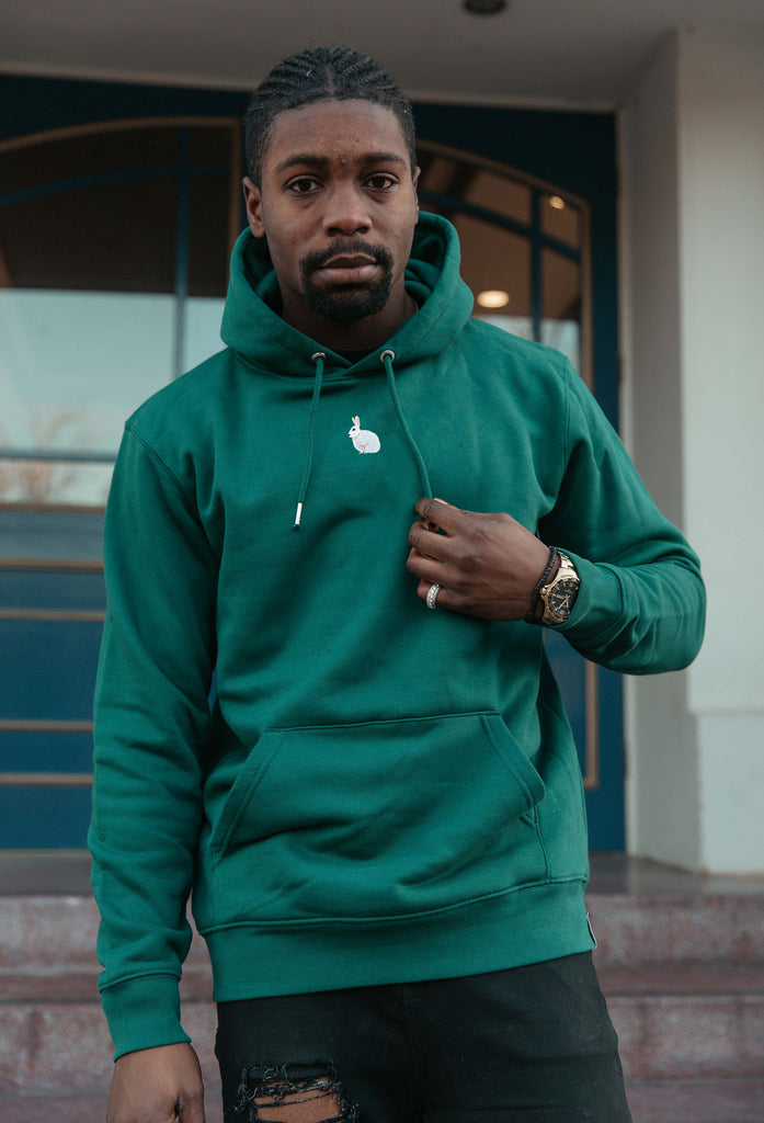 mountain hare hoodie Big Wild Thought