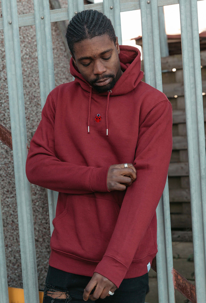 ladybird hoodie Big Wild Thought