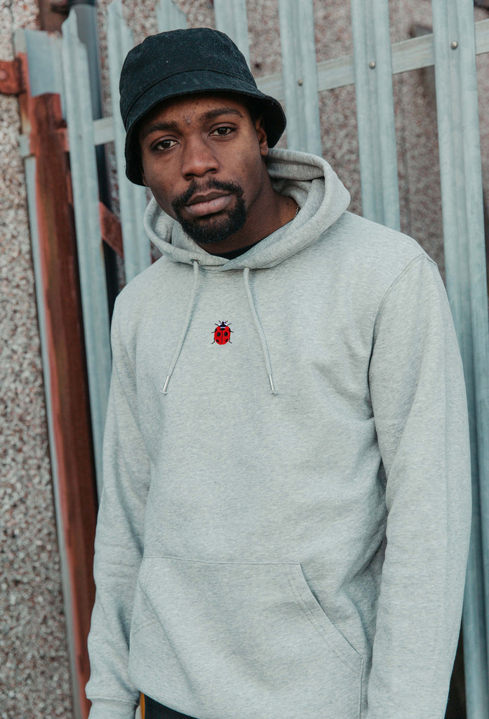 ladybird hoodie Big Wild Thought