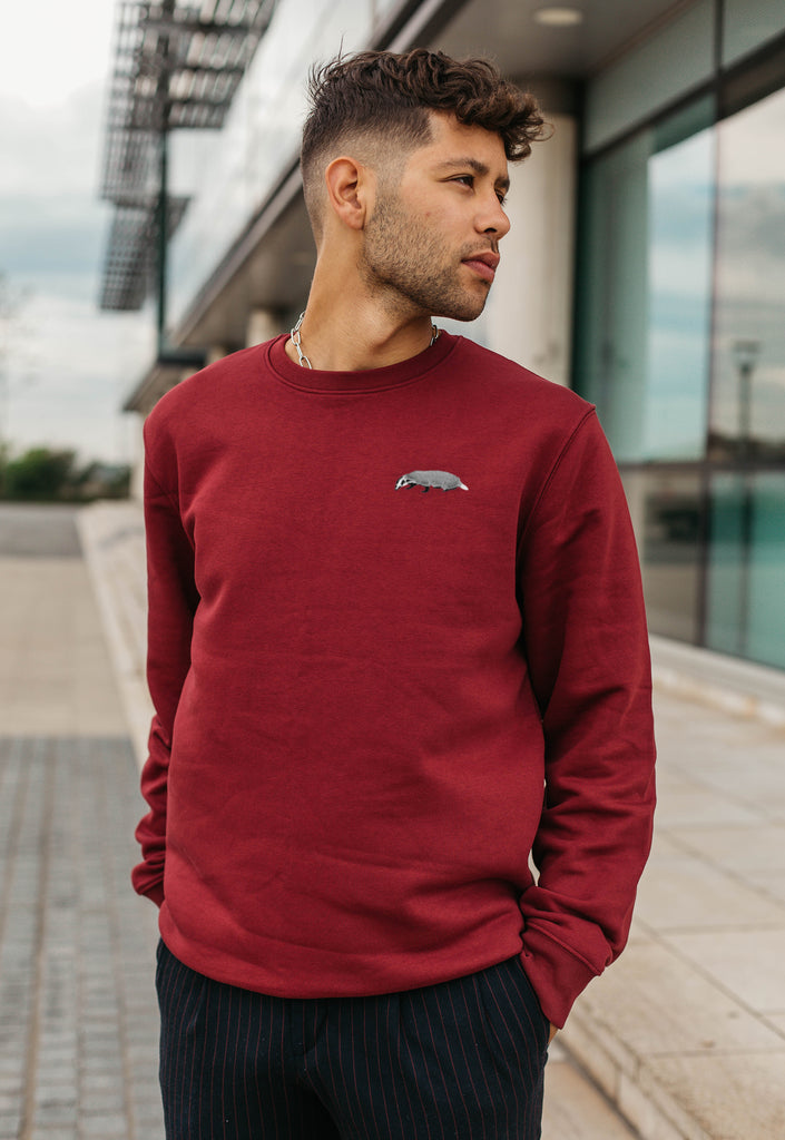 Badger Embroidered Organic Sustainable Sweatshirt Jumper Big Wild Thought