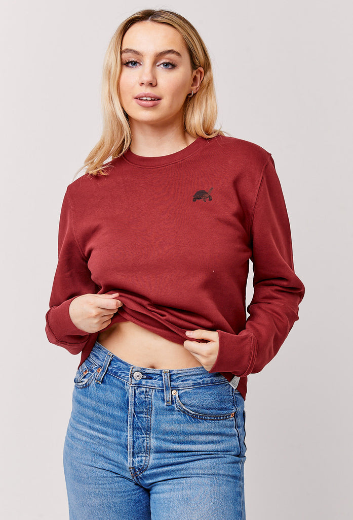 galapagos tortoise womens sweatshirt Big Wild Thought