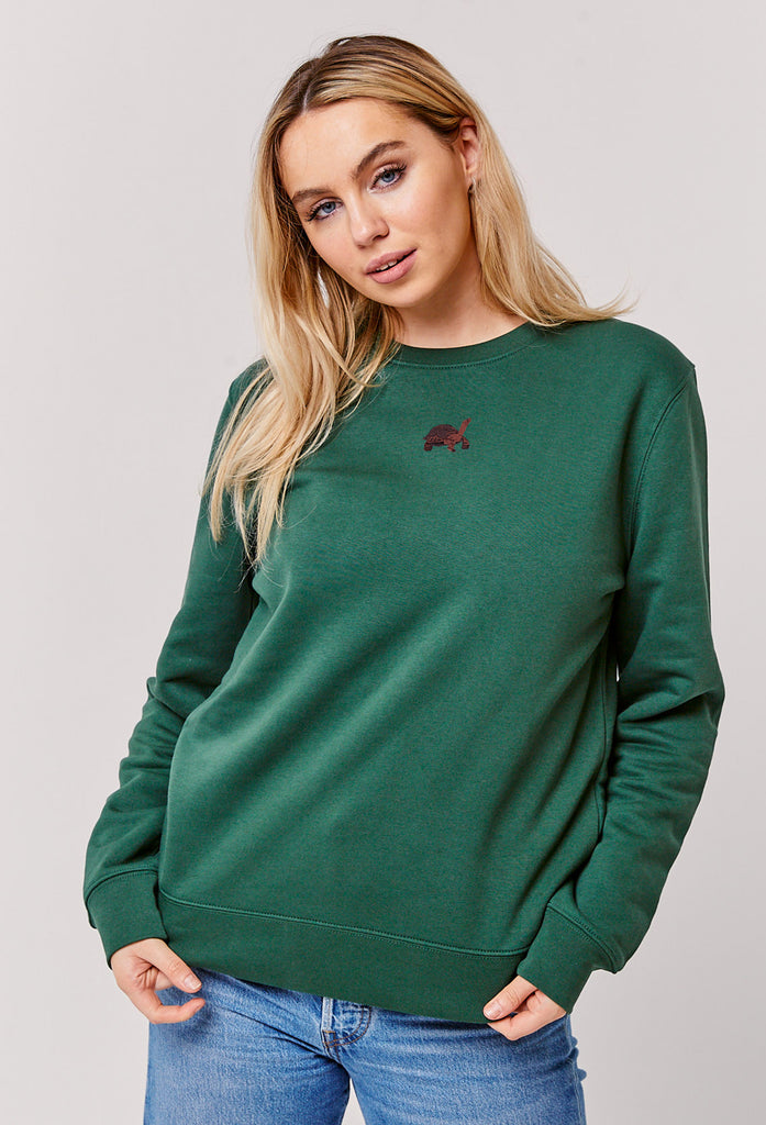 galapagos tortoise womens sweatshirt Big Wild Thought