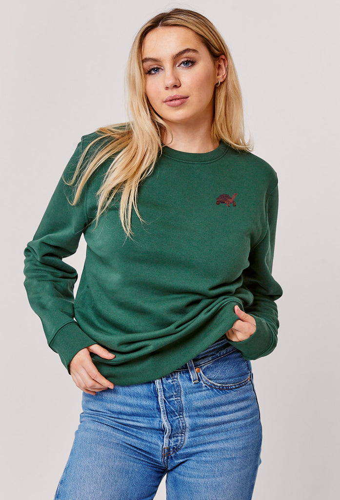 galapagos tortoise womens sweatshirt Big Wild Thought
