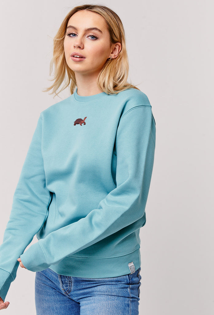 galapagos tortoise womens sweatshirt Big Wild Thought