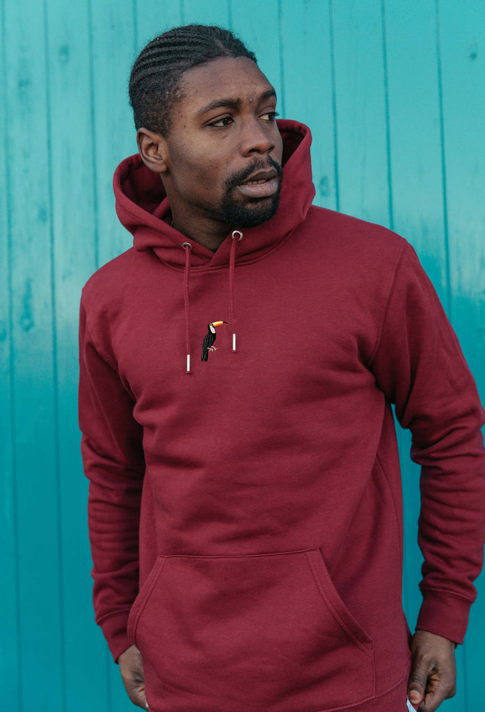 toucan hoodie Big Wild Thought