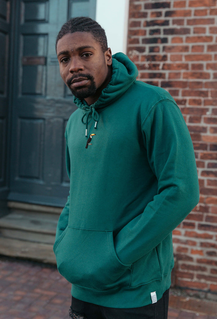 toucan hoodie Big Wild Thought
