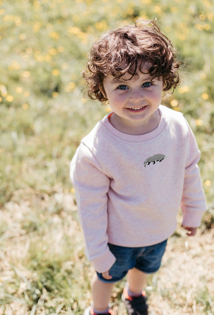 badger childrens sweatshirt Big Wild Thought