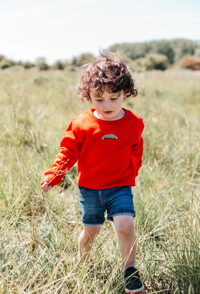 badger childrens sweatshirt Big Wild Thought