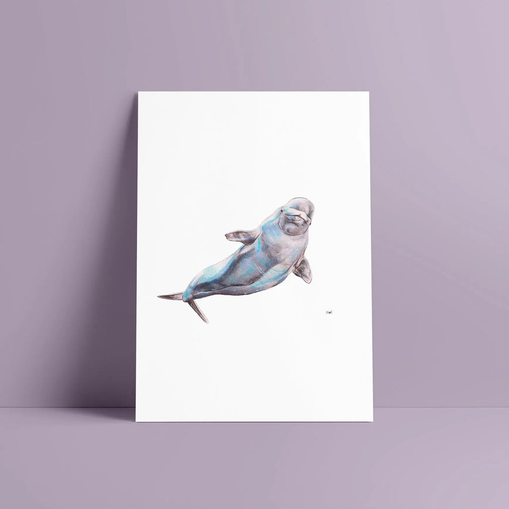 beluga a4 print Big Wild Thought