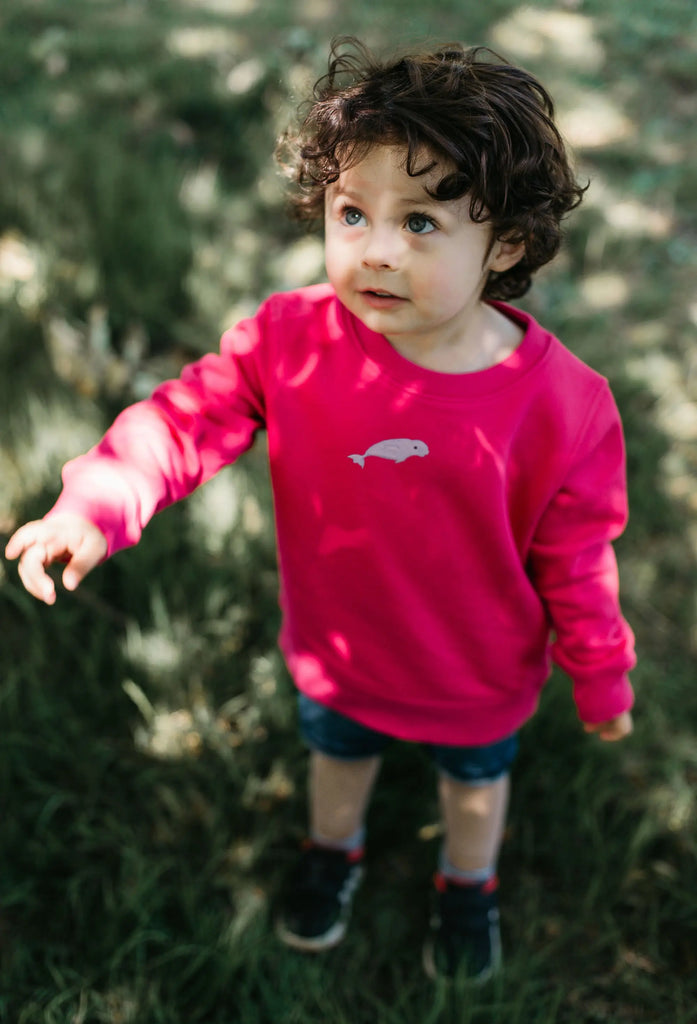 beluga childrens sweatshirt Big Wild Thought