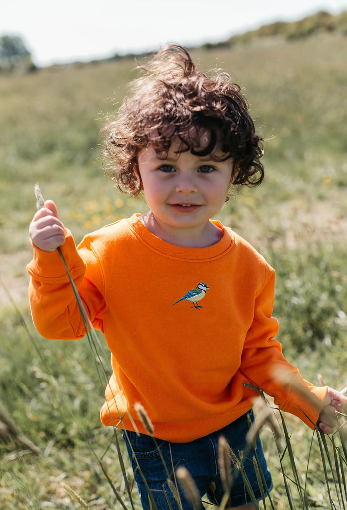 blue tit childrens sweatshirt Big Wild Thought