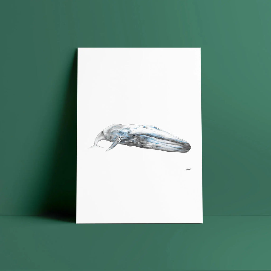 blue whale a4 print Big Wild Thought