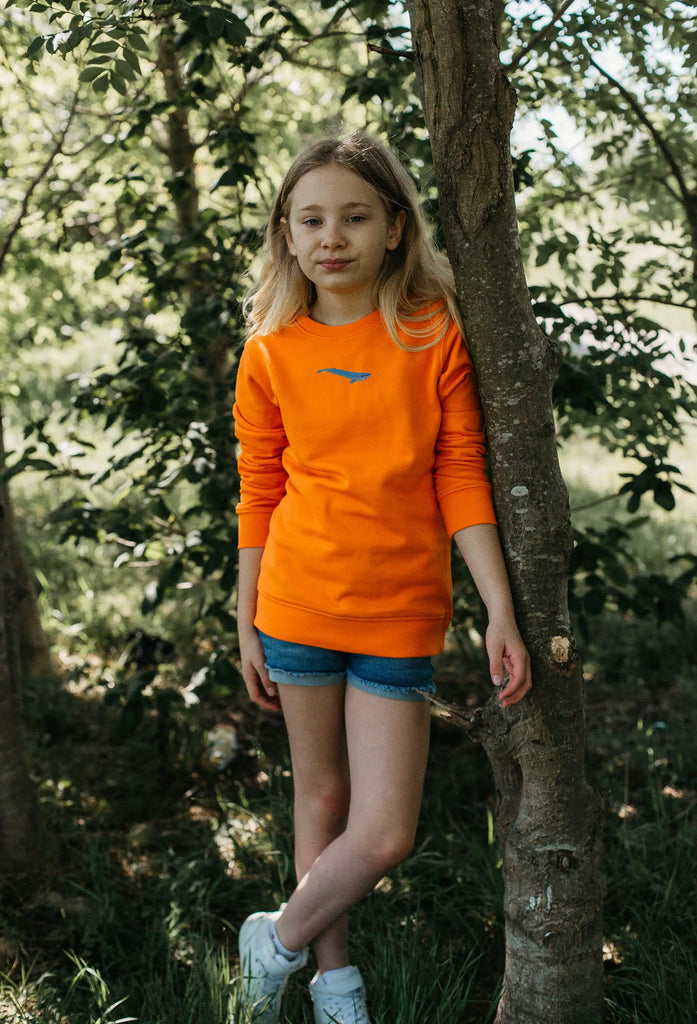 blue whale childrens sweatshirt Big Wild Thought