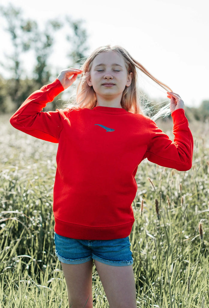 blue whale childrens sweatshirt Big Wild Thought