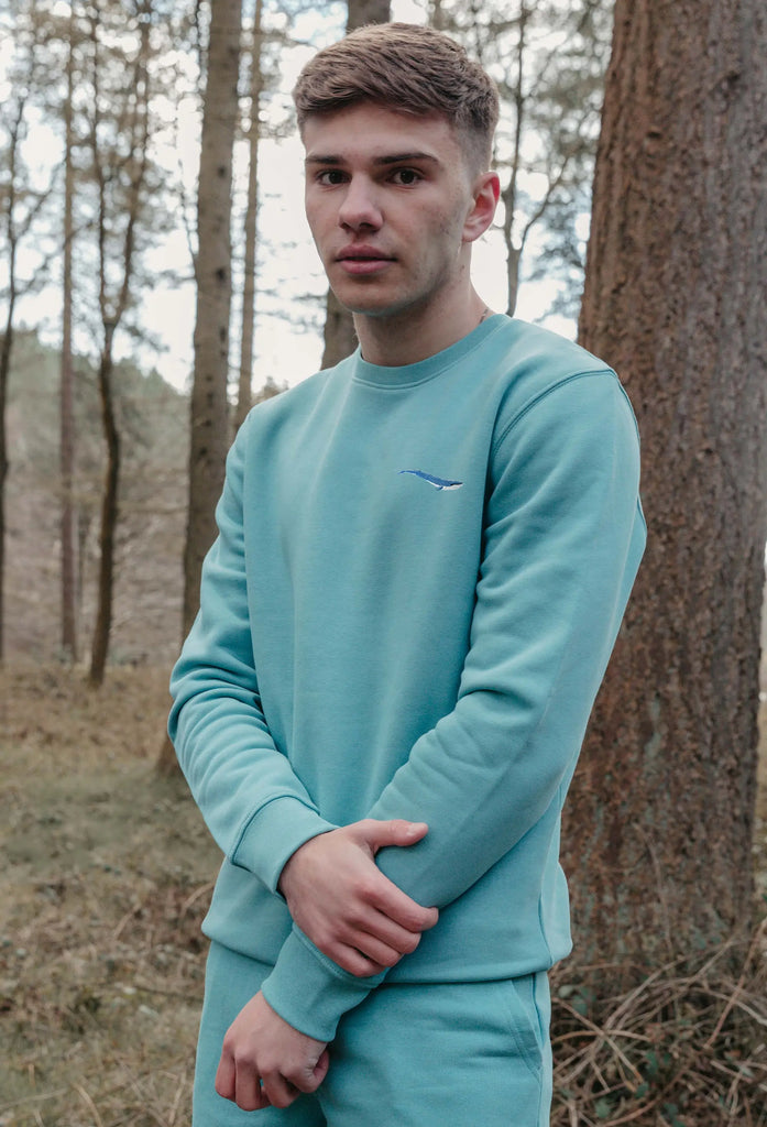 Blue Whale Embroidered Organic Sustainable Sweatshirt Jumper Big Wild Thought