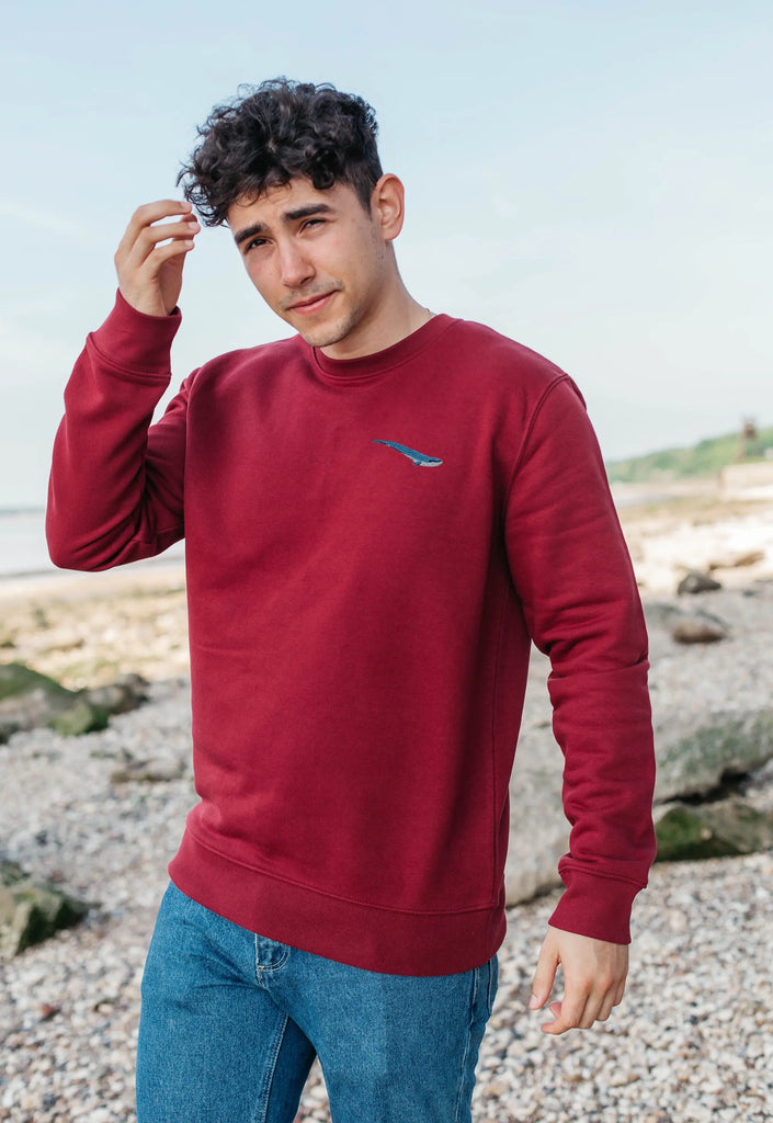 Blue Whale Embroidered Organic Sustainable Sweatshirt Jumper Big Wild Thought