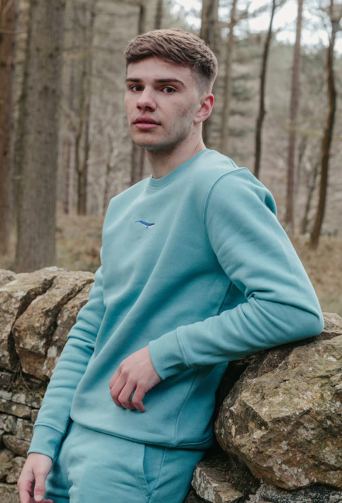 Blue Whale Embroidered Organic Sustainable Sweatshirt Jumper Big Wild Thought