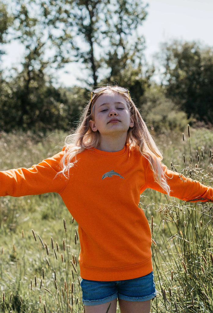 dolphin childrens sweatshirt Big Wild Thought