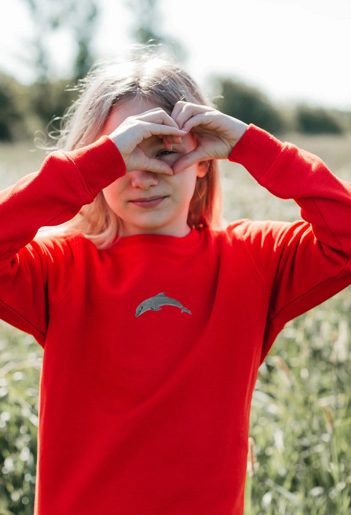 dolphin childrens sweatshirt Big Wild Thought