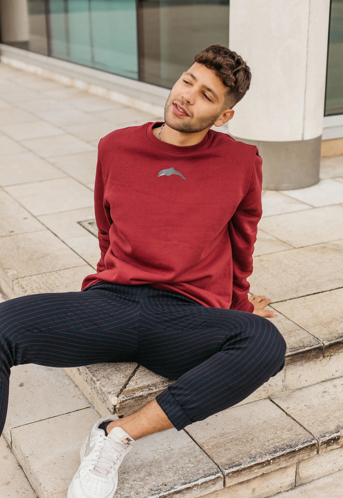 Dolphin Embroidered Organic Sustainable Sweatshirt Jumper Big Wild Thought