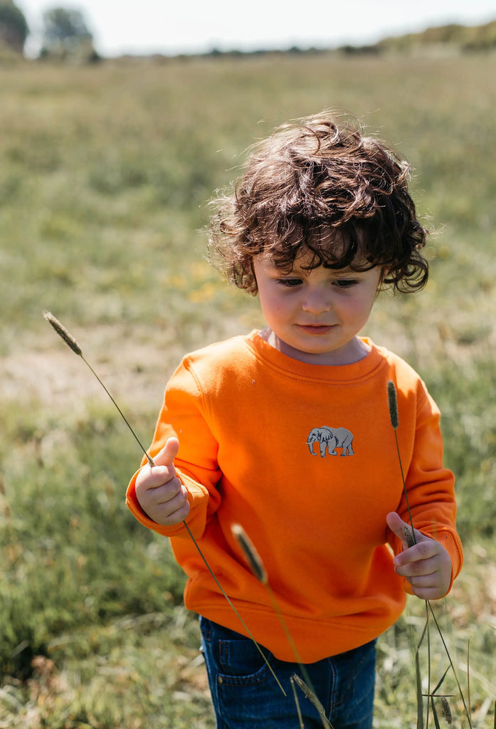 elephant childrens sweatshirt Big Wild Thought