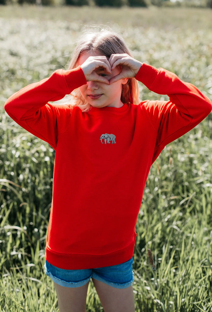 elephant childrens sweatshirt Big Wild Thought