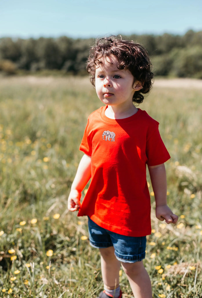 elephant childrens t-shirt Big Wild Thought