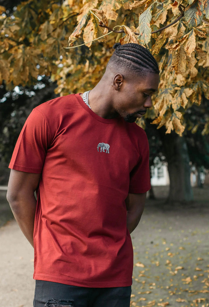 elephant mens t-shirt Big Wild Thought