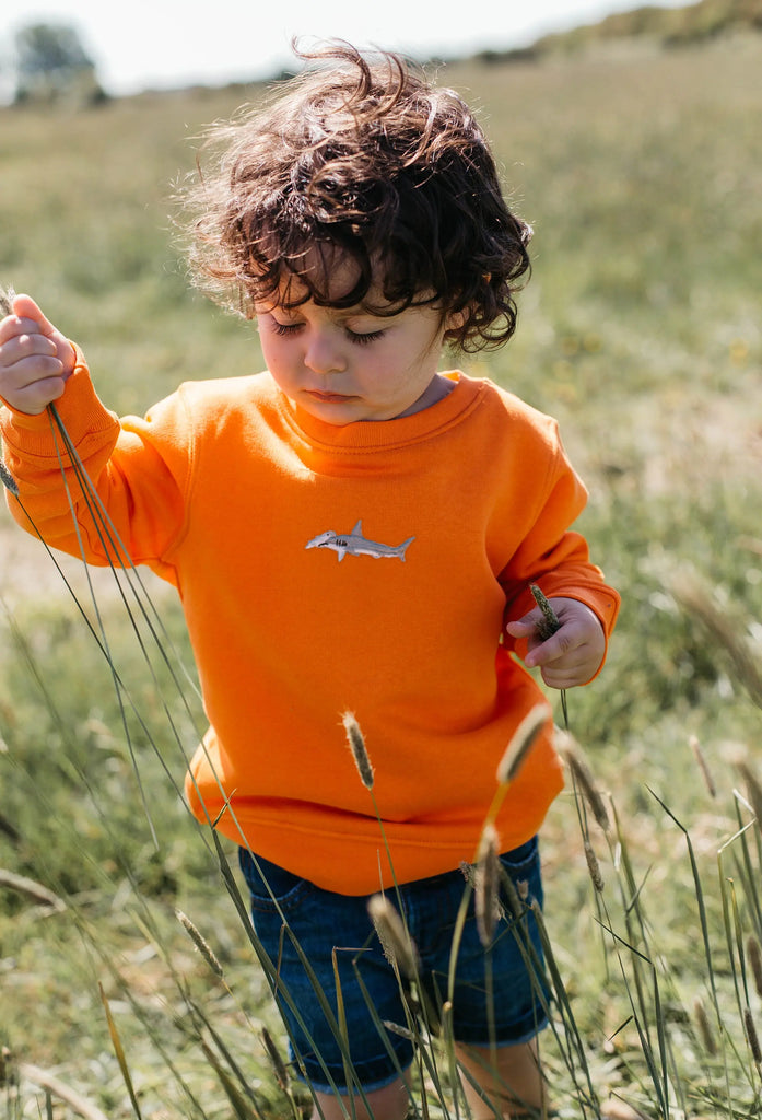 hammerhead shark childrens sweatshirt Big Wild Thought