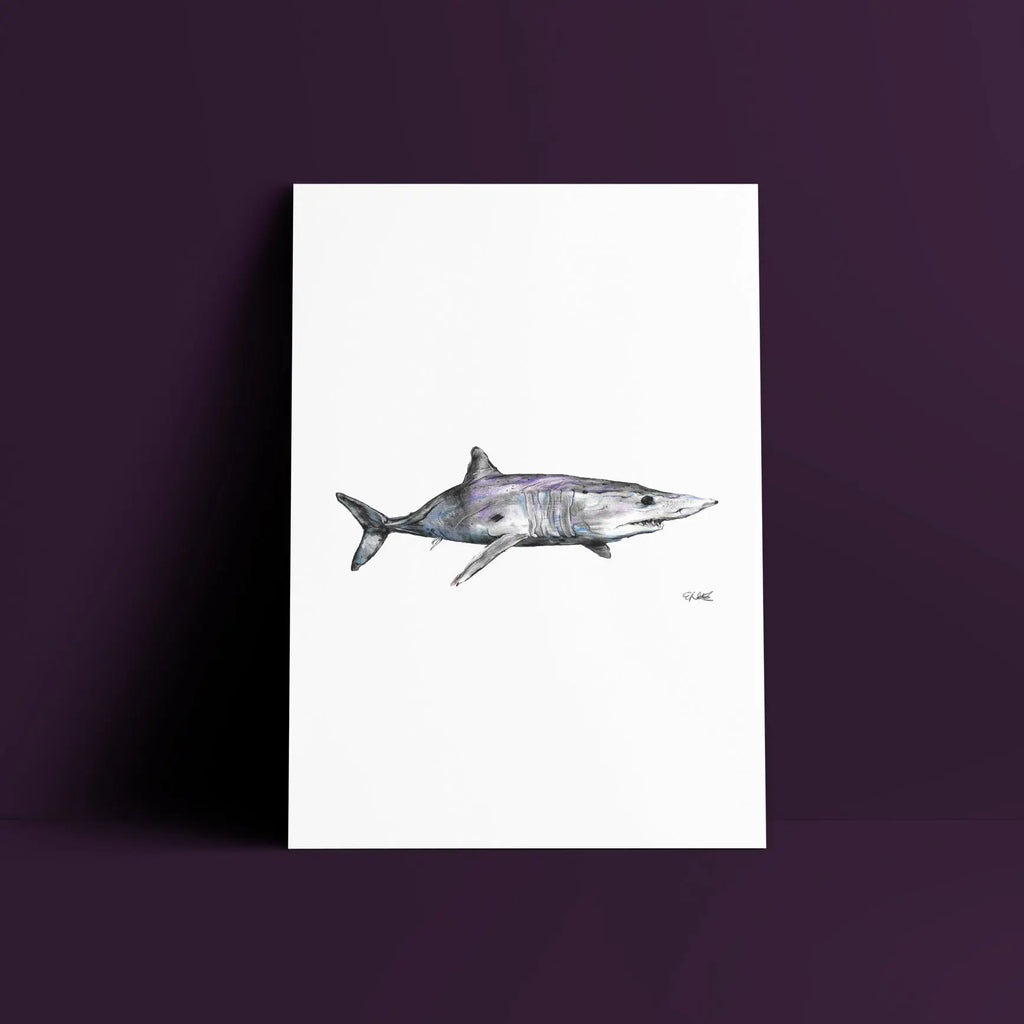 mako shark a4 print Big Wild Thought