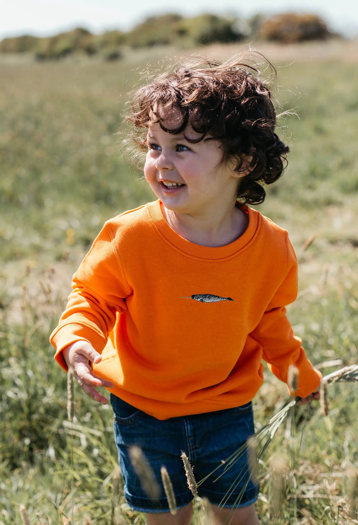 narwhal childrens sweatshirt Big Wild Thought