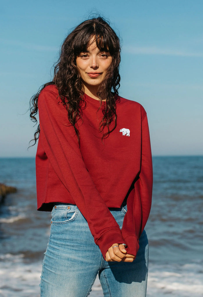 polar bear womens cropped sweatshirt Big Wild Thought