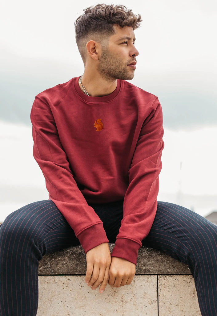 red squirrel mens sweatshirt Big Wild Thought