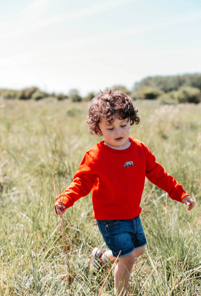 rhino childrens sweatshirt Big Wild Thought