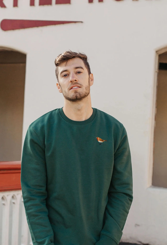 robin mens sweatshirt Big Wild Thought