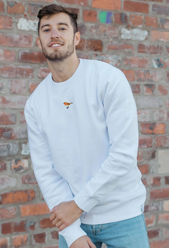 robin mens sweatshirt Big Wild Thought