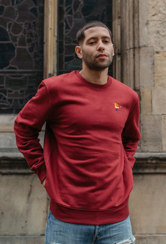 robin mens sweatshirt Big Wild Thought