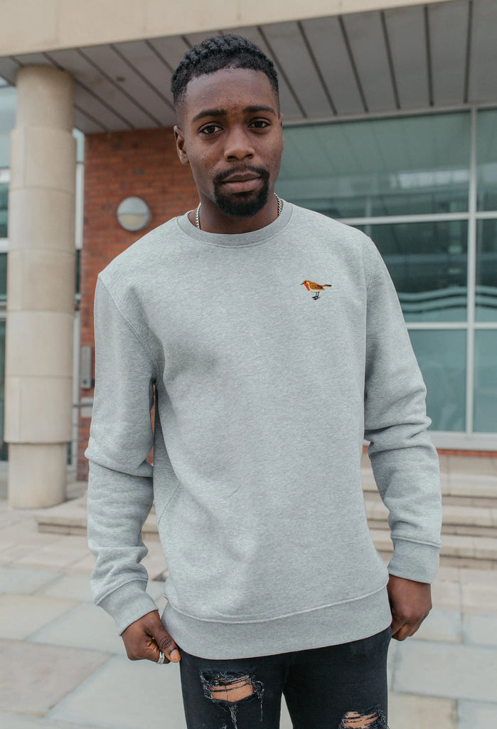 robin mens sweatshirt Big Wild Thought