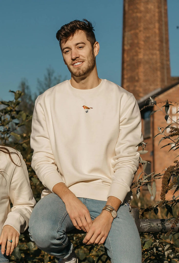 robin mens sweatshirt Big Wild Thought