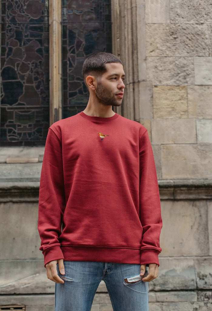 robin mens sweatshirt Big Wild Thought