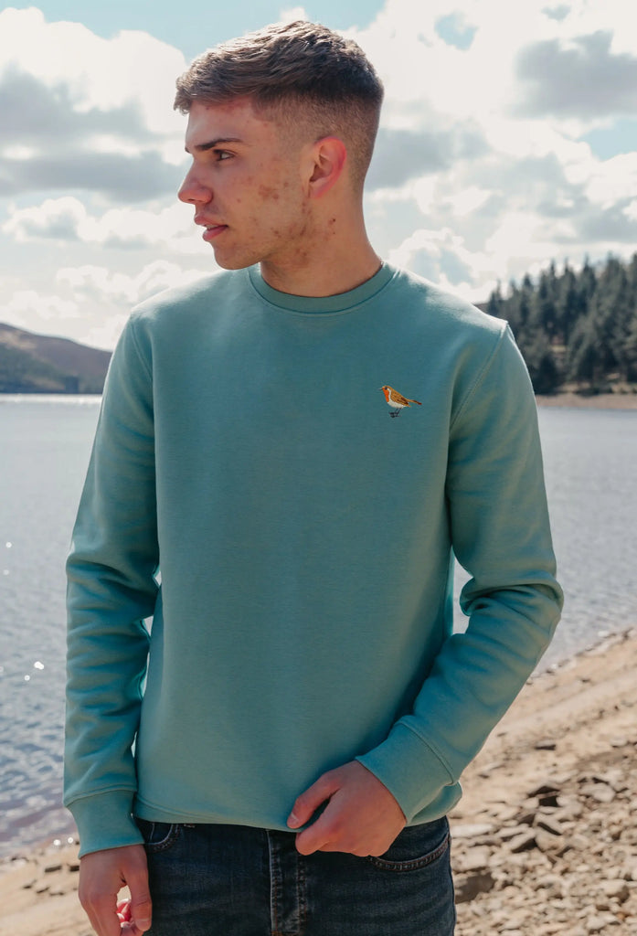 robin mens sweatshirt Big Wild Thought
