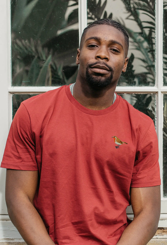 robin mens t-shirt Big Wild Thought