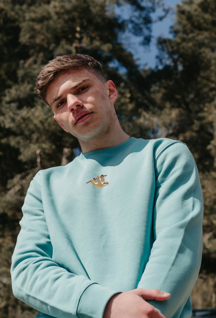 sloth mens sweatshirt Big Wild Thought