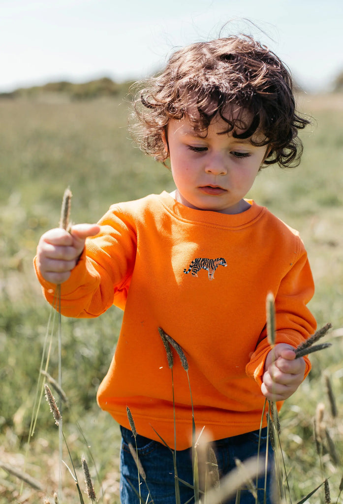 tiger childrens sweatshirt Big Wild Thought