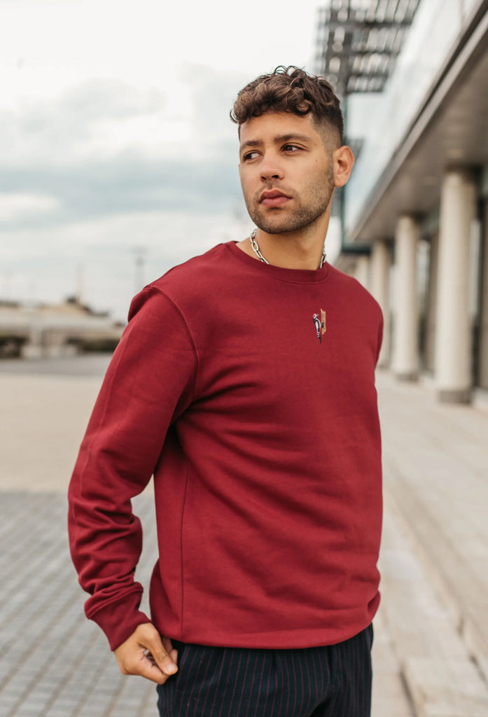 woodpecker mens sweatshirt Big Wild Thought