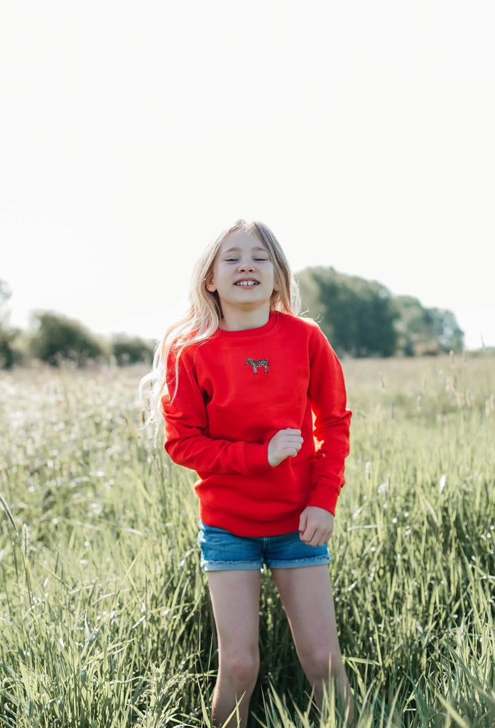 zebra childrens sweatshirt Big Wild Thought