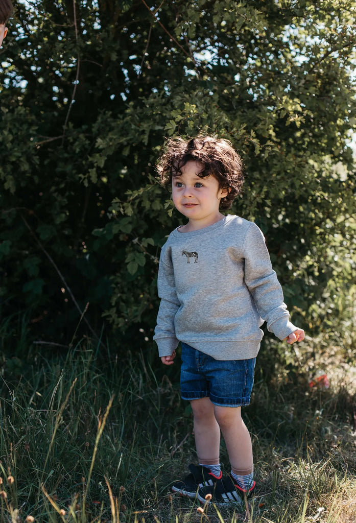zebra childrens sweatshirt Big Wild Thought